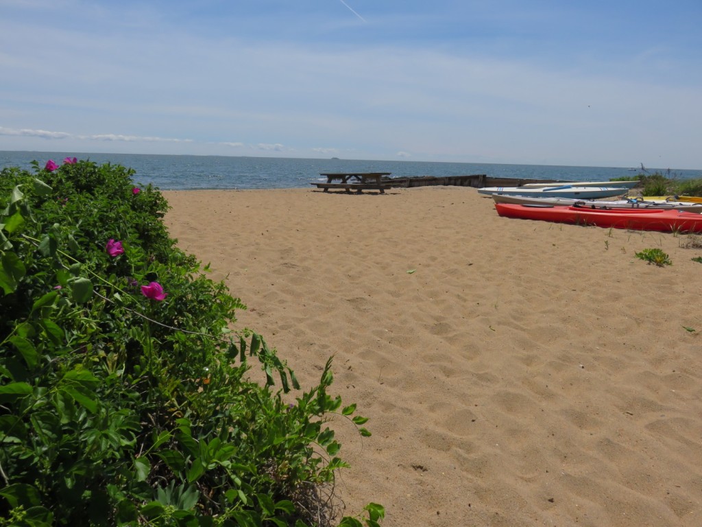 Beach Home