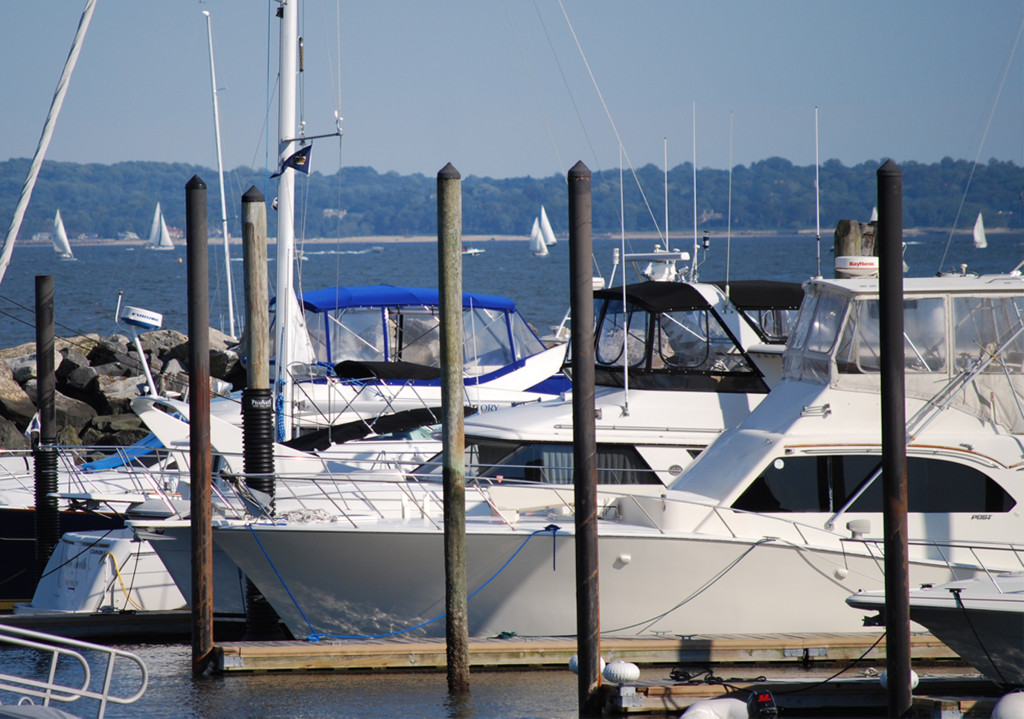 boats at marina large