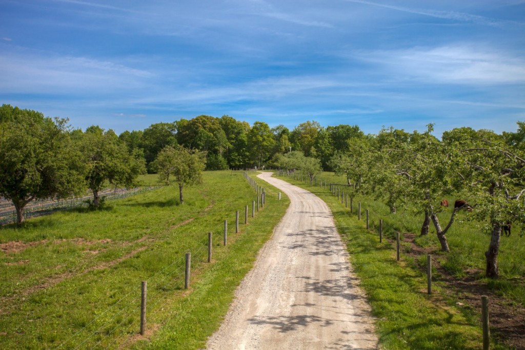 10169397_93_pulpit_rock_road-148