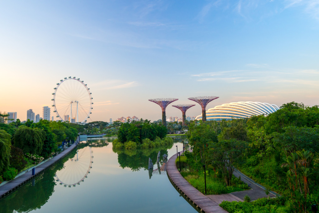 Supertree Grove in the Garden by the Bay in Singapore