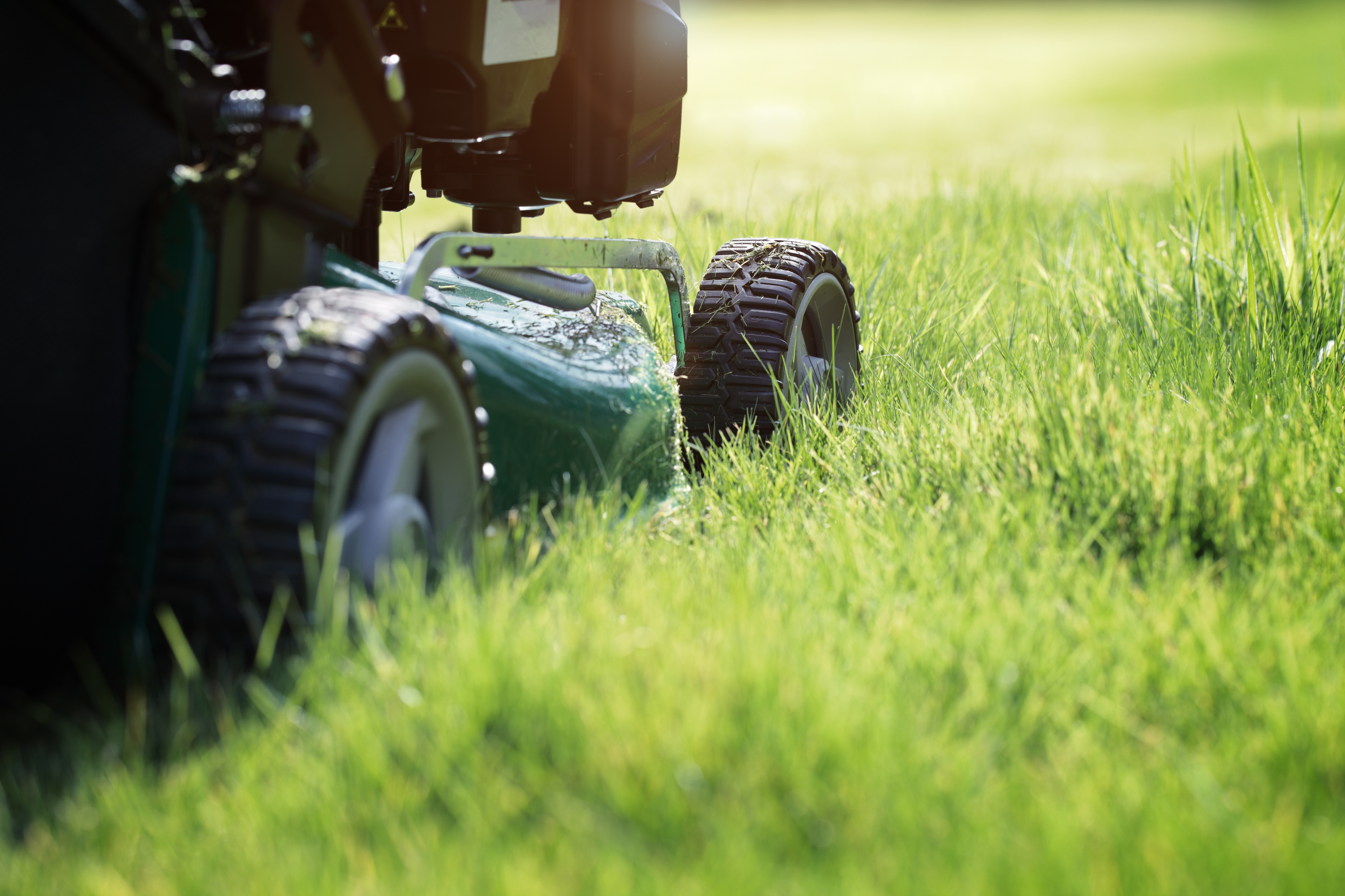 Mowing or cutting the long grass with a green lawn mower in the summer sun