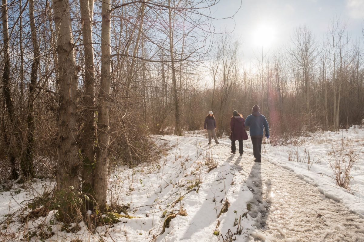 Family walking along snow covered trail at Maplewood Flats, North Vancouver, British Columbia, Canada